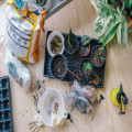 Drie tips voor een sfeervolle tuin