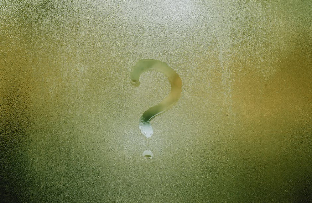 Wat betekent ‘het is groen en vliegt in de kerk’? Dit is het antwoord