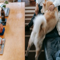 Hoe zorg je voor meer sfeer in je woonkamer? Stylingtips en inspiratie