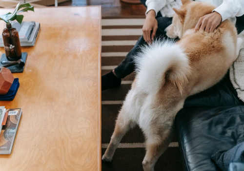 Hoe zorg je voor meer sfeer in je woonkamer? Stylingtips en inspiratie