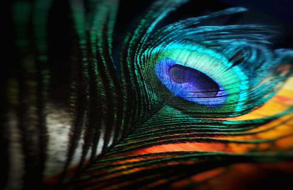 Hoe kies je de perfecte kleur voor je interieur zonder spijt?