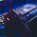 De veelzijdigheid van Nederlandse online goksites